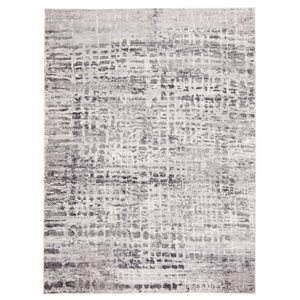 ECARPET Evra Grey 3-ft 11-in x 5-ft 7-in Rectangular Indoor Area rug