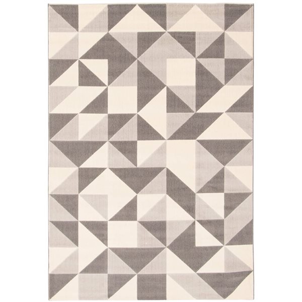 ECARPET Delta Grey 5-ft 3-in x 7-ft 7-in Rectangular Indoor Area rug