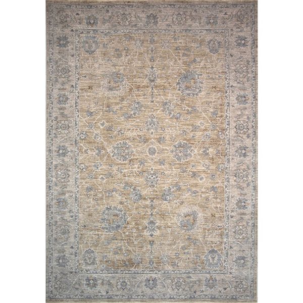 Rug Branch Tapis d'intérieur transitionnel sud-ouest bohème doré beige - 5x7