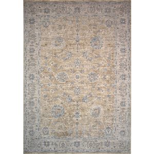 Rug Branch Tapis d'intérieur transitionnel sud-ouest bohème doré beige - 5x7