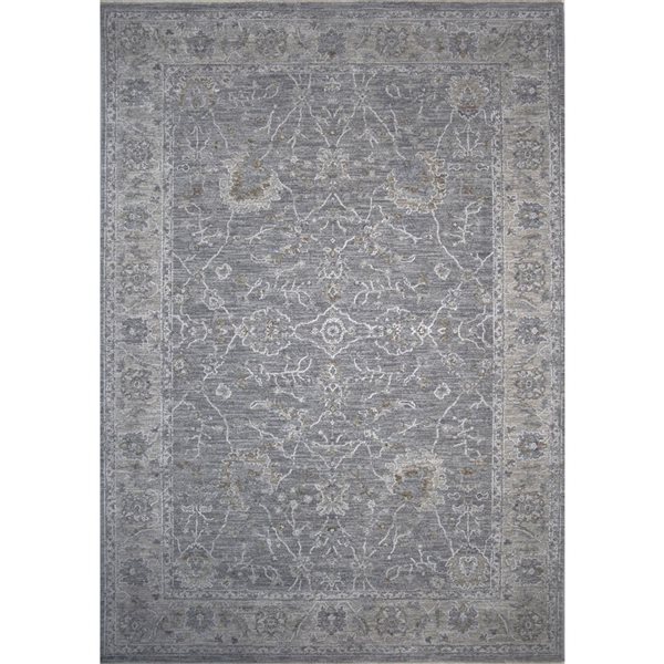 Rug Branch Tapis d'intérieur transitionnel sud-ouest Boho bleu gris - 5x7