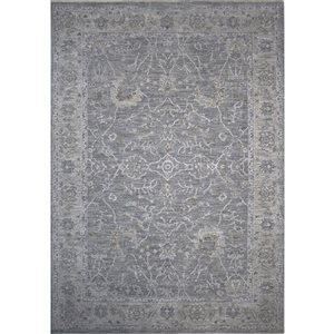 Rug Branch Tapis d'intérieur transitionnel sud-ouest Boho bleu gris - 5x7