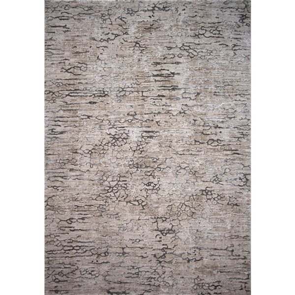 Rug Branch Tapis d'intérieur moderne abstrait scandinave beige marron - 5x7