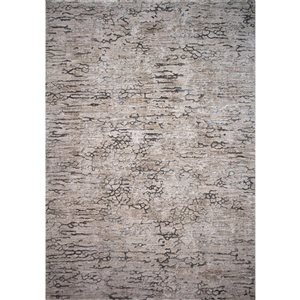 Rug Branch Tapis d'intérieur moderne abstrait scandinave beige marron - 5x7