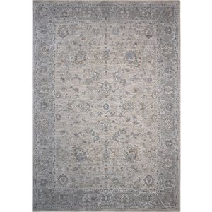 Rug Branch Transitional Southwestern Boho Cream Grey Indoor Area Rug - 8x10