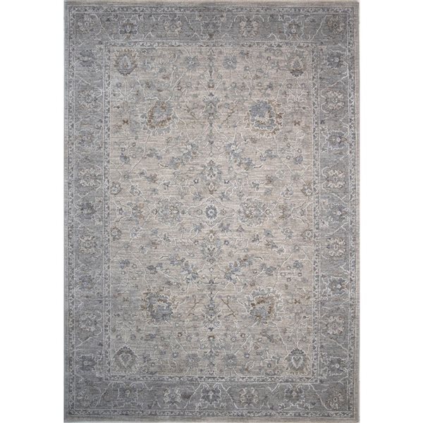 Rug Branch Tapis d'intérieur transitionnel sud-ouest bohème gris crème - 8 x 10