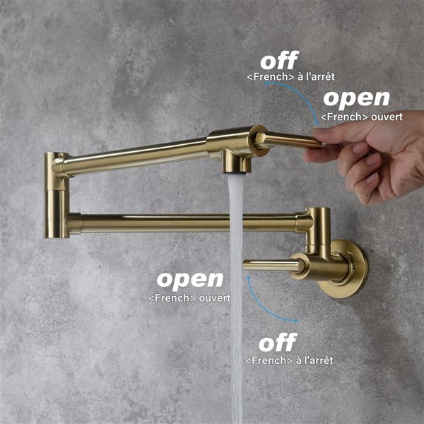 WELLFOR Sink Faucets Brushed Gold 2-handle Wall Mount Pot Filler Handle/lever Residential Kitchen Faucet