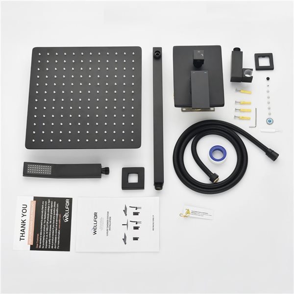 WELLFOR 2-Function Wall-Mounted Shower System with 10-in Rain Shower Head in Matte Black