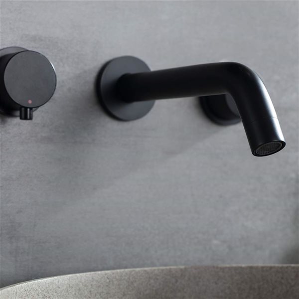 WELLFOR 2-Handle Bathroom Sink Faucet - Matte Black