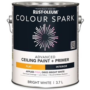 Peinture de plafond color spark blanc mat 3,78 L