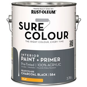 Sure Colour Paint and Primer in Flat Charcoal Black 3.78L - 2-Pack