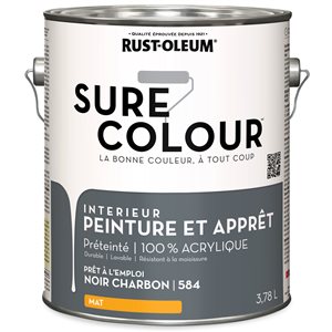 Peinture à tableau noir pour écrire à la craie Colorantic, 16 oz  675033008332