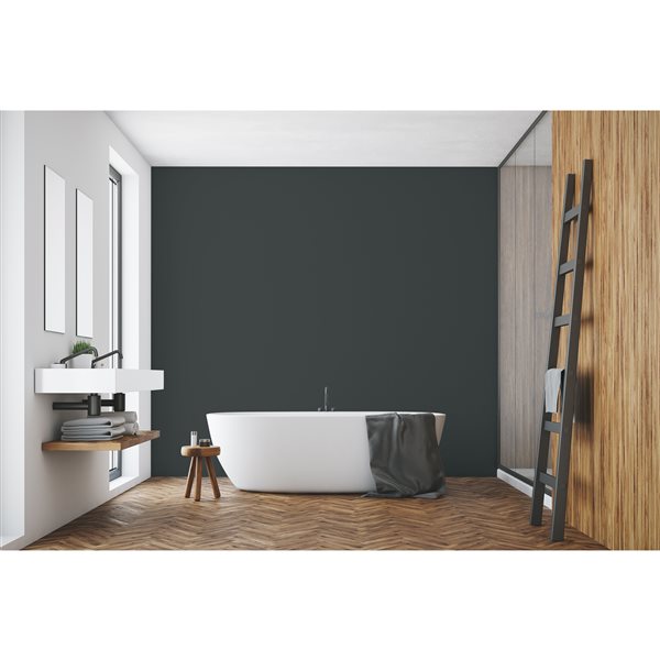 Peinture murale d'intérieur Colour Spark noir charbon velouté 3,78 L (Paquet de 2)