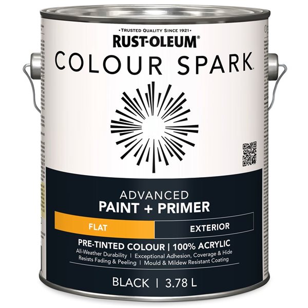 Colour Spark Exterior Paint in Flat Black 3.78L - 2-Pack