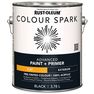 Colour Spark Exterior Paint in Flat Black 3.78L - 2-Pack