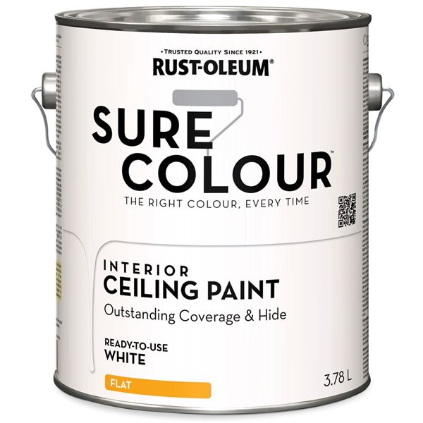Peinture d'intérieur au latex pour plafond, mat, blanc, 3,78 L/1 gallon
