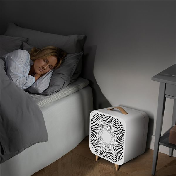 Pure cheap air fan