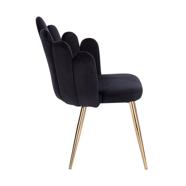 Plata Import Medley Black Velvet Upholstered Chair with Gold Metal Legs (Set of 4)