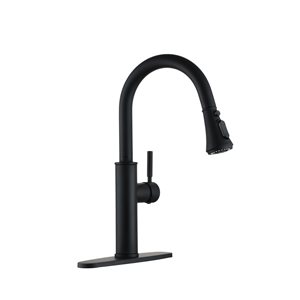 Clihome Matte Black 4-Function Single-Handle Pull-Down Spout Kitchen Faucet With Base Plate