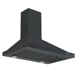 Ancona 30-in 450 CFM Black Stainless Steel Convertible Wall Mount Range Hood with Charcoal Filter included