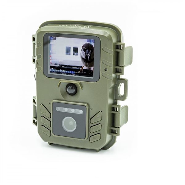 Disponible dès maintenant : Caméra pour la faune sauvage dans la mangeoire  pour oiseaux - digitec