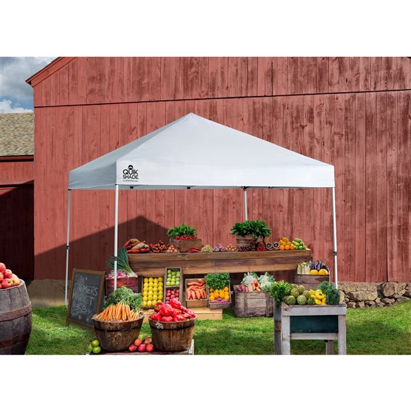 Tent Quik Shade Commercial Quik Shade Commercial 10 X 10-ft