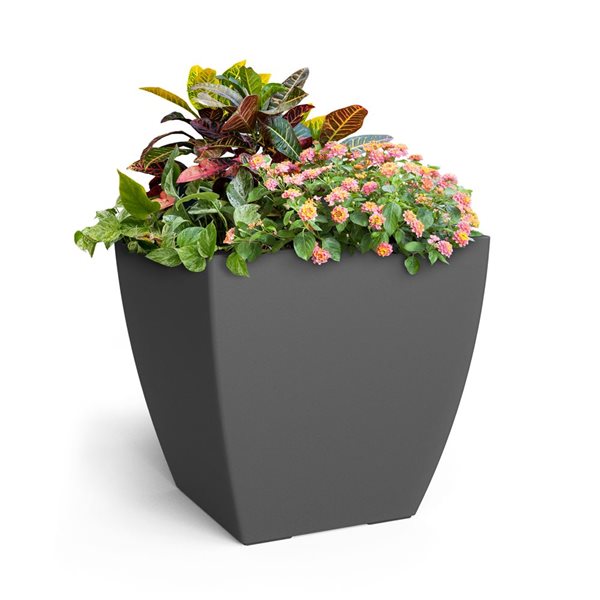 Mayne Kobi 24-in Graphite Grey Self Watering Square Planter