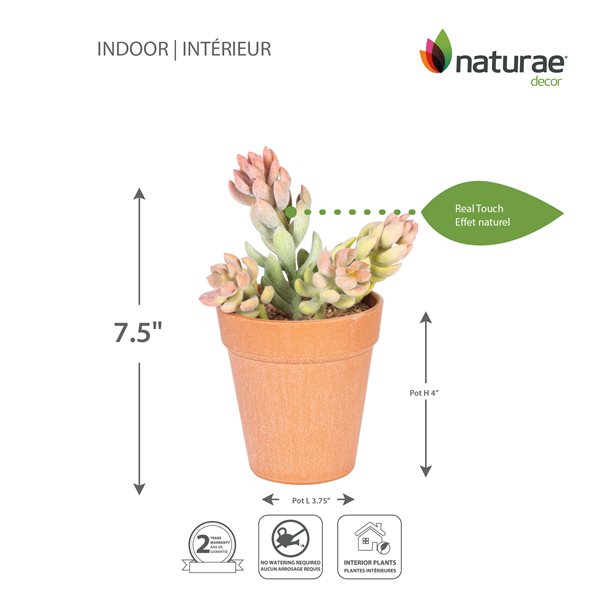 Naturae Decor Sedum Artifical Plant in Terra Cotta Pot 7-in