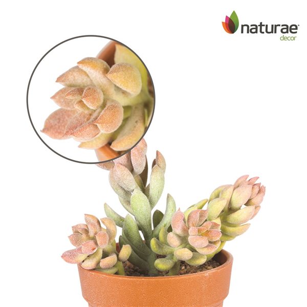 Naturae Decor Sedum Artifical Plant in Terra Cotta Pot 7-in