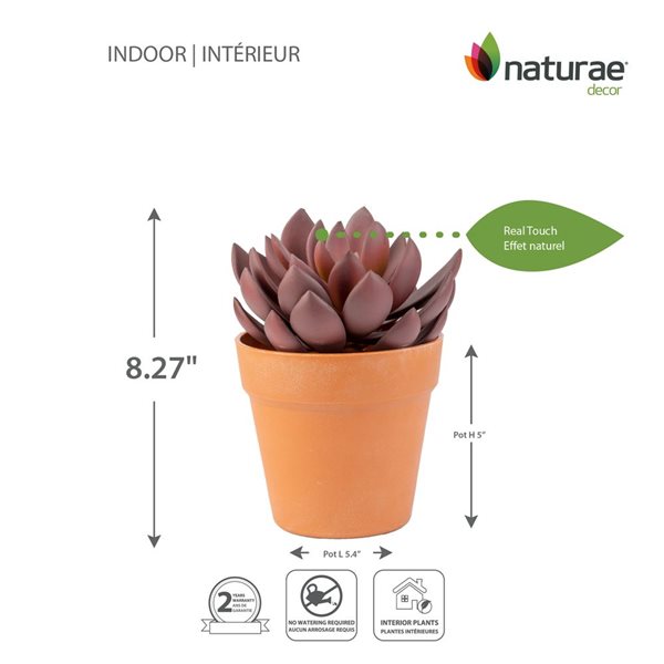 Naturae Decor Lotus Artifical Plant in Terra Cotta Pot 8-in