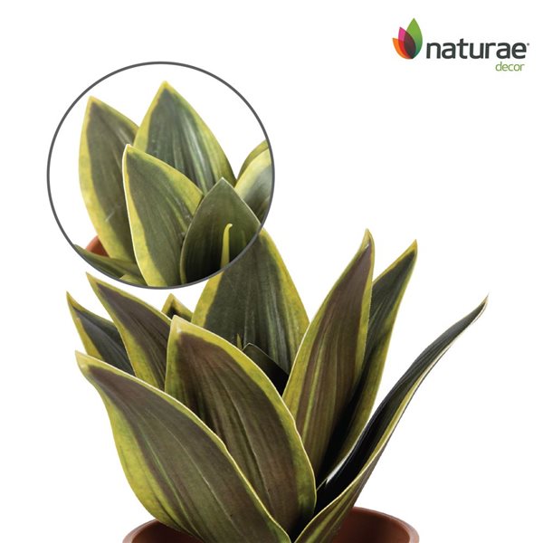 Naturae Decor Sanseveria Artifical Plant in Terra Cotta Pot 9-in