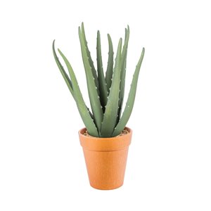 Naturae Decor Aloe Vera Artifical Plant in Terra Cotta Pot 12-in
