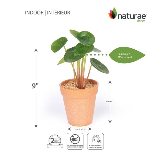 Plante Pilea artificielle Naturae Décor en pot de terre cuite 8 po