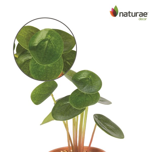 Plante Pilea artificielle Naturae Décor en pot de terre cuite 8 po