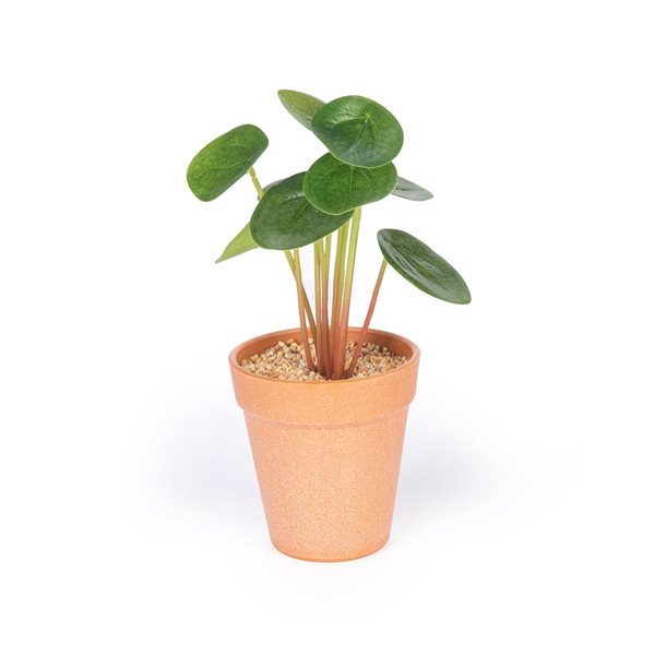 Plante Pilea artificielle Naturae Décor en pot de terre cuite 8 po