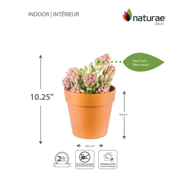 Naturae Decor Sedum Artifical Plant in Terra Cotta Pot 10-in