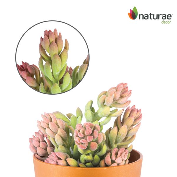 Naturae Decor Sedum Artifical Plant in Terra Cotta Pot 10-in