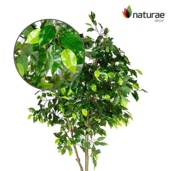 Arbre Ficus Naturae Decor artificiel décoratif en pot noir 70 po