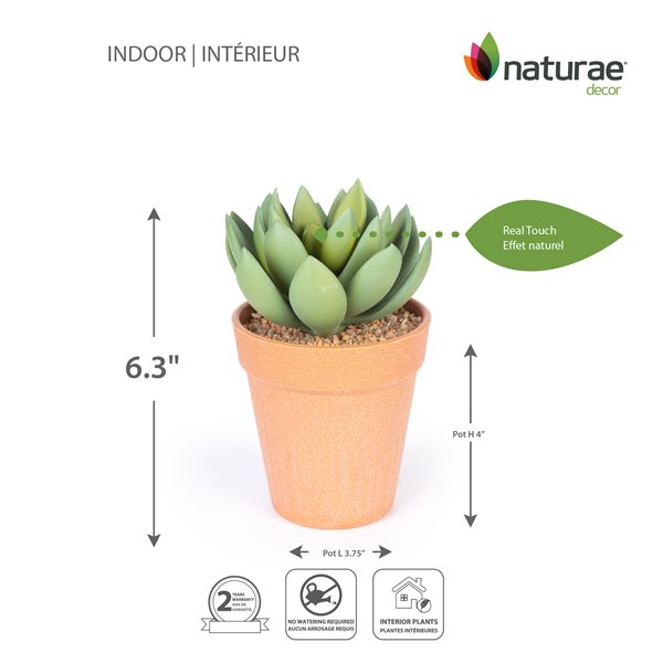 Naturae Decor Echeveria Artifical Plant in Terra Cotta Pot 6-in