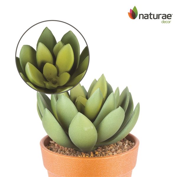 Naturae Decor Echeveria Artifical Plant in Terra Cotta Pot 6-in