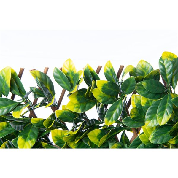 Naturea Decor Expandable Privacy Treillis Laurel Leaves 36-in x 72-in