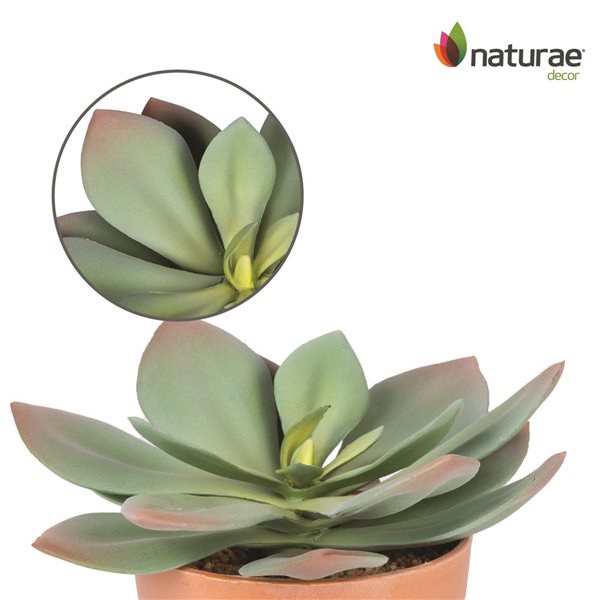 Naturae Decor Echeveria Artifical Plant in Terra Cotta Pot 7-in