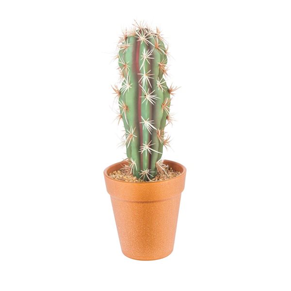 Naturae Decor Torch Cactus Decorative in Terra Cotta Pot 12-in | RONA