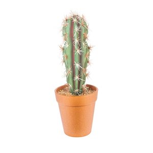 Naturae Decor Torch Cactus Decorative in Terra Cotta Pot 12-in