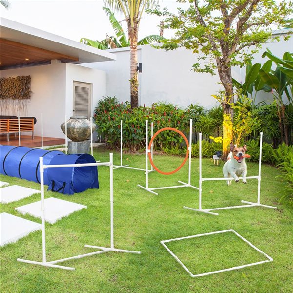 PawHut Dog Agility Training Set - 5-Piece