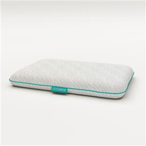 Sleepenvie Skyler Cool Gel Memory Foam Pillow