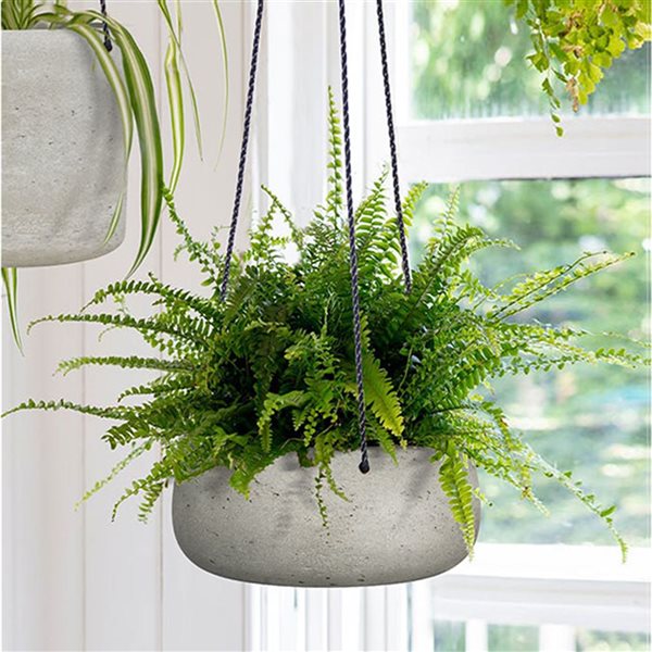 LH Imports 11.4-in W X 4.3-in H Cement Grey Concrete Hanging Planter