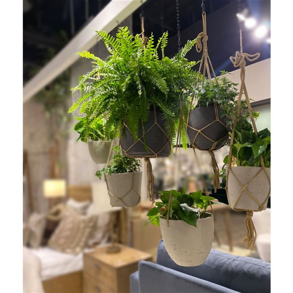 LH Imports 7.1-in W X 5.9-in H Cement Grey Concrete Hanging Planter