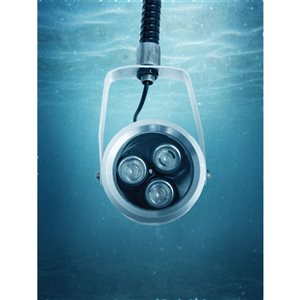 Dock Edge Underwater Solar Light