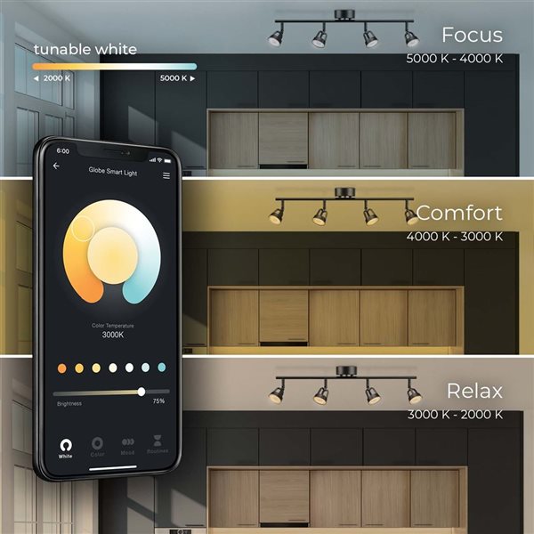 Rail d'éclairage intelligent Wi-Fi à 4 lumières DEL intégrées par Globe Electric, noit mat
